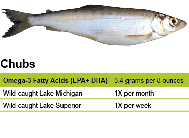 Chubs – Eat Wisconsin Fish