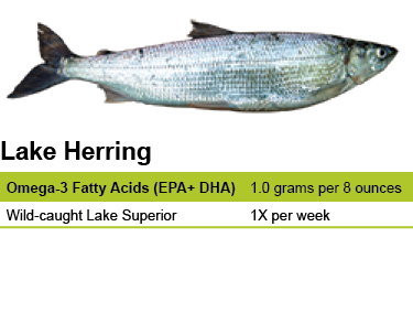 Lake Herring (cisco; adikamig) – Eat Wisconsin Fish