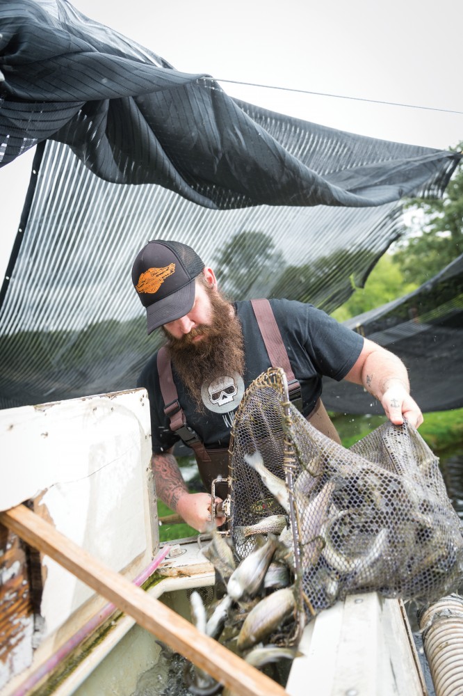 Person with net full of fish.