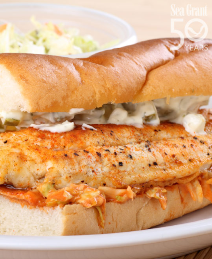 Perch Sandwich Eat Wisconsin Fish