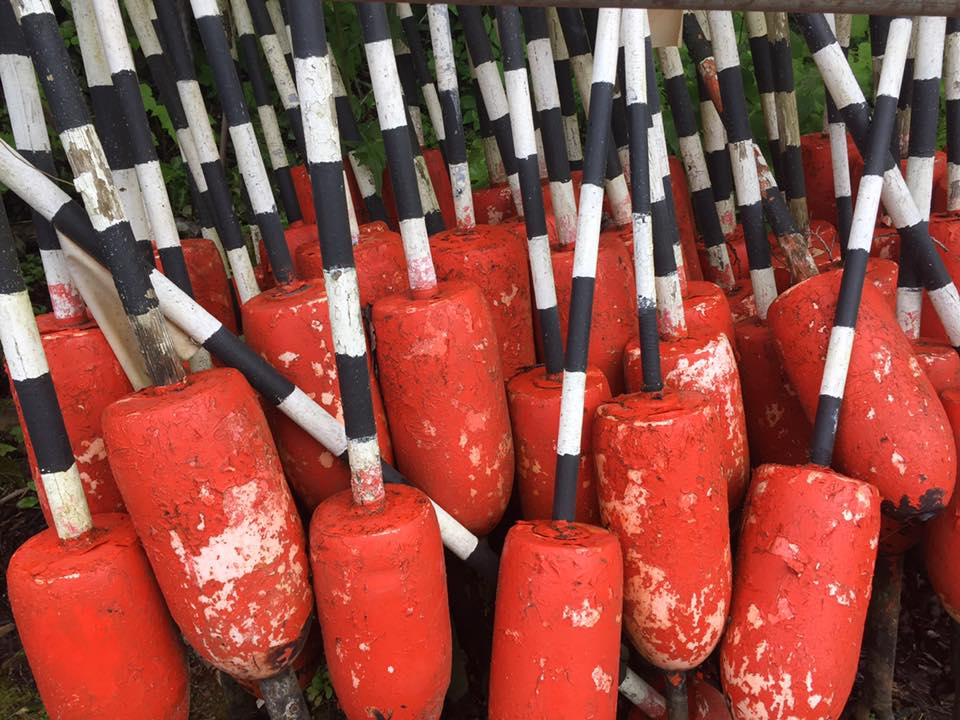 Orange buoys with white and black striped tops.