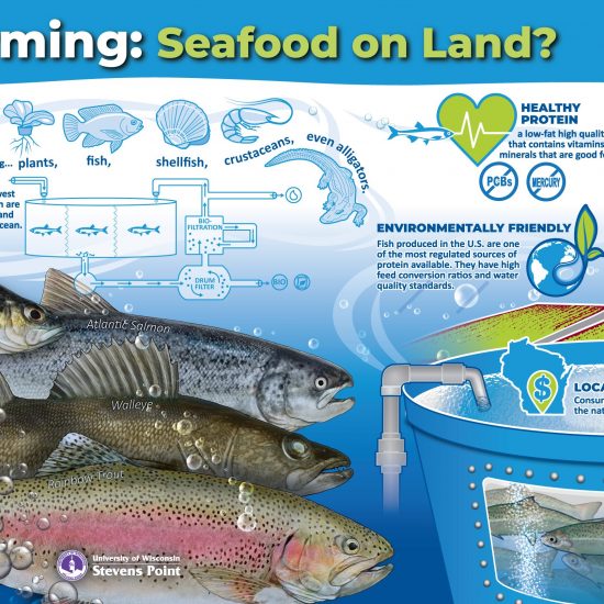 This is a poster--Blue Farming: Seafood on Land? It has 5 fish and information about raising food fish in land-based systems.