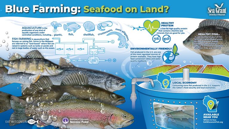 This is a poster--Blue Farming: Seafood on Land? It has 5 fish and information about raising food fish in land-based systems.