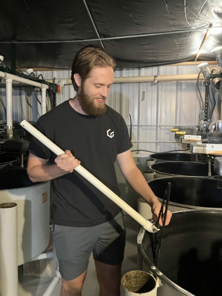 Worker in an indoor aquaculture facility holding a net.